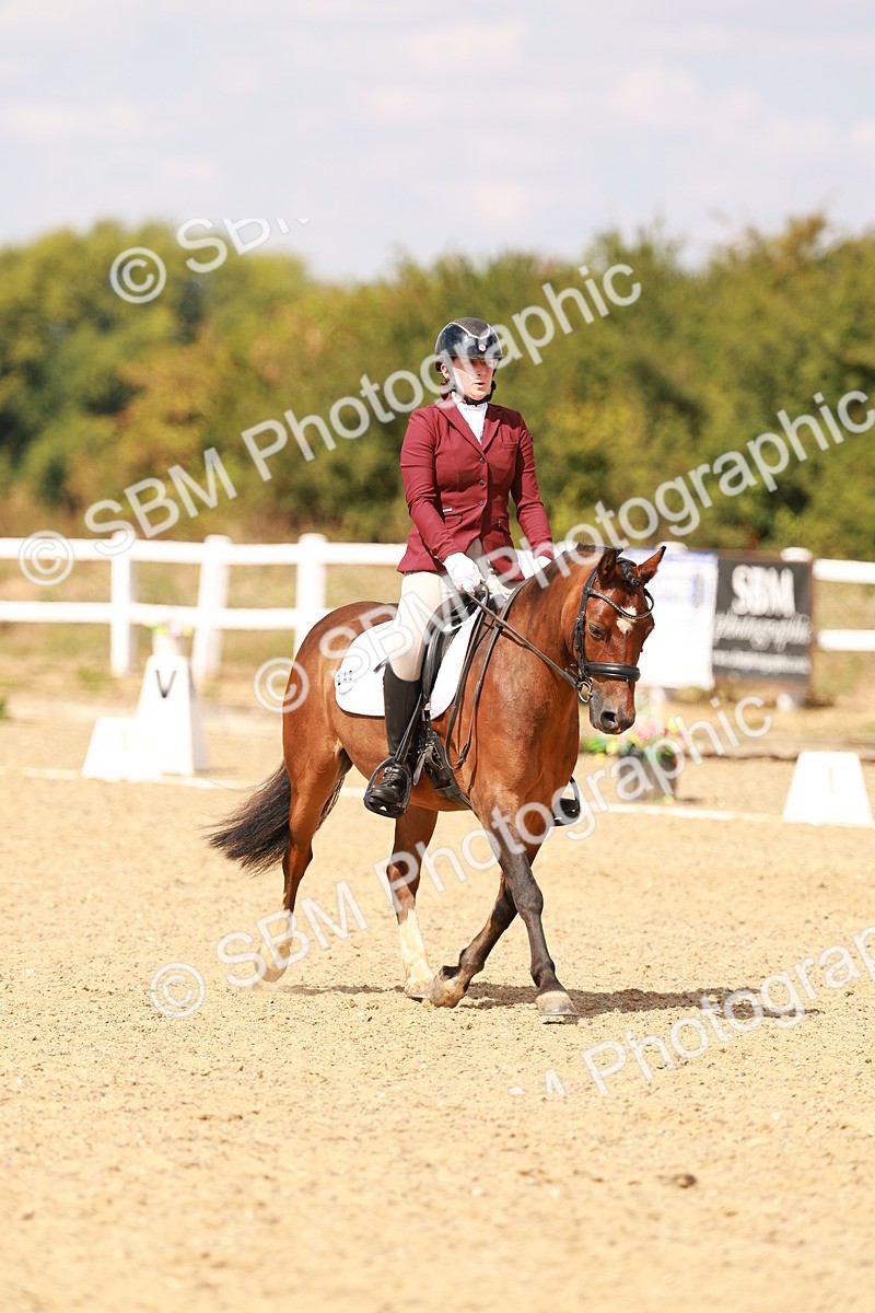 SBM_018613 - Class 9 - N5 Bronze 11.57.13.07