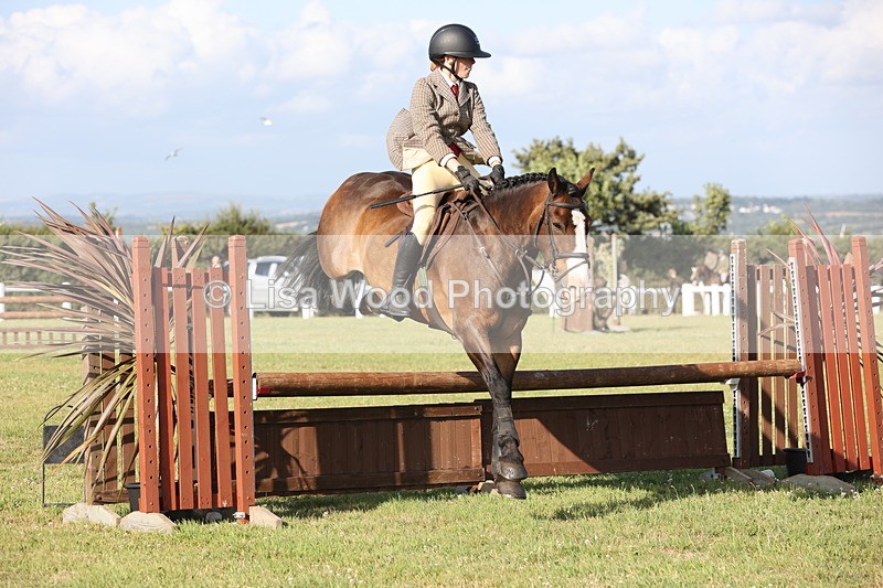 JPP_3212 - Class 21: Working Hunter 80cm