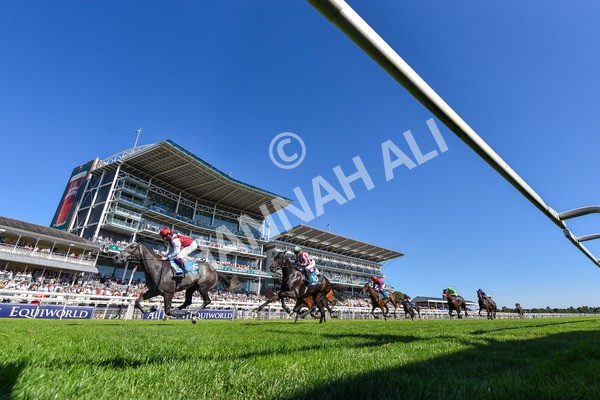 110725-Race 5-Mahras Love-6841 - Race 5 4.32pm Laura Barry Memorial Handicap