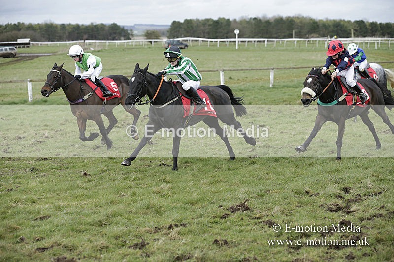 PtP 150320 0765 - New Forest Point-to-Point Larkhill 15/03/20