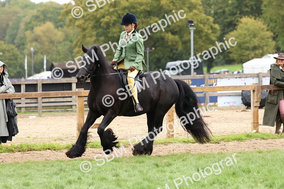 SBM_69652 - S62 - Mountain & Moorland Ridden Large Breeds