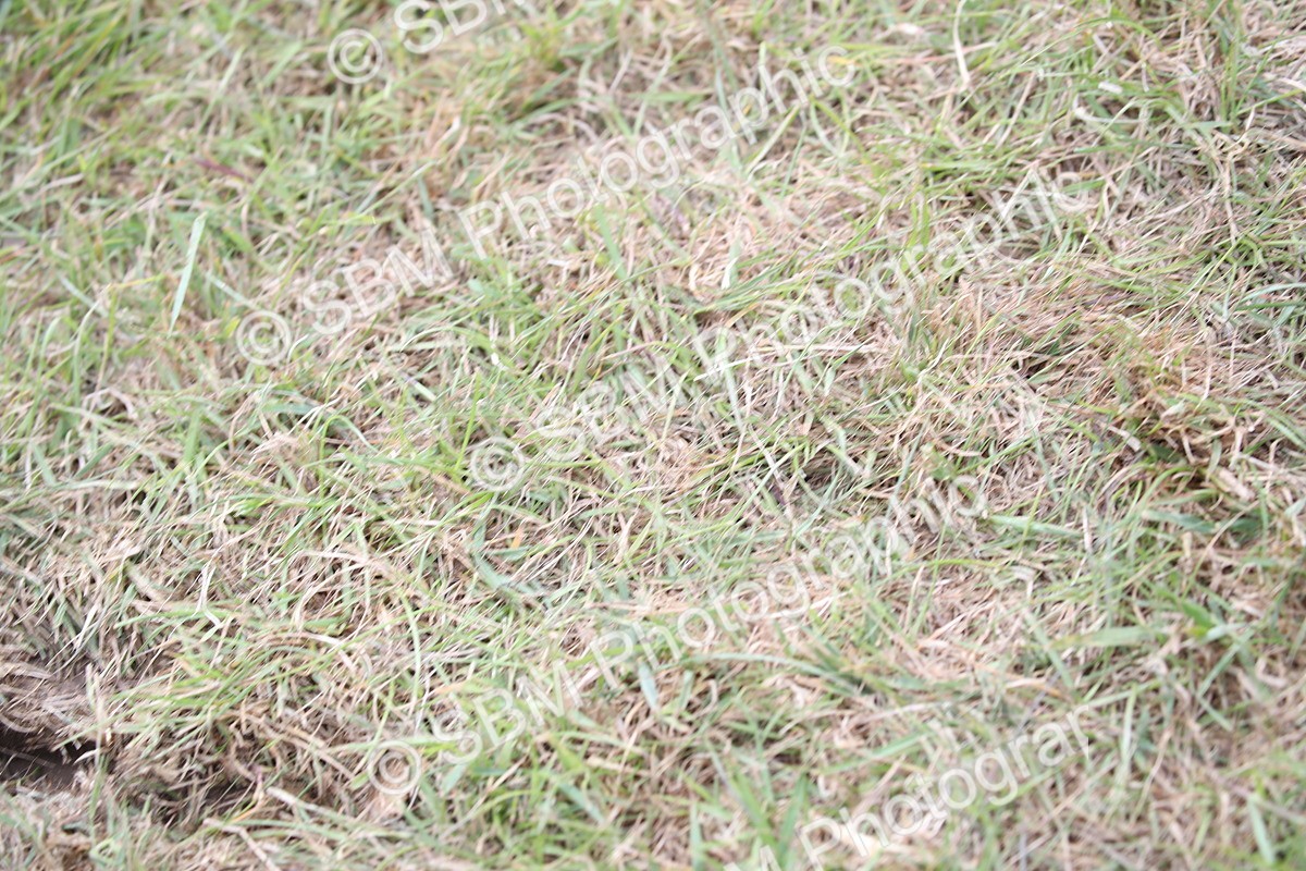 SBM_10023 - Dinky Derby