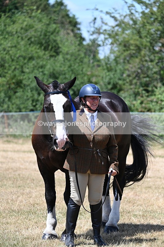 WJ7_2451 - Class 5a Most Handsome Gelding in hand (above 14.2hh)
