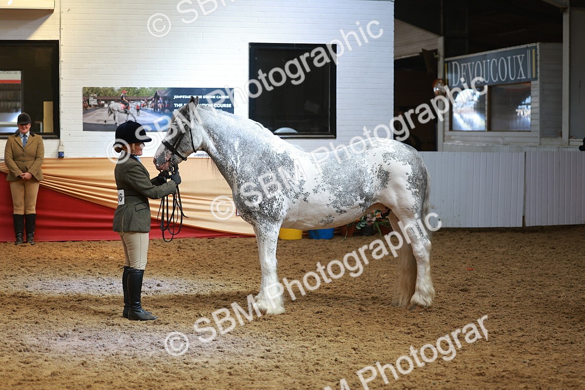 SBM_12622 - Class 103 - HOYS Veteran Qualifier - Ridden Pre Vet