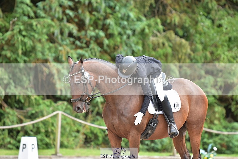 250719A-143134-06280 - 010-Julie.Wheeler-Be.My.Scout
