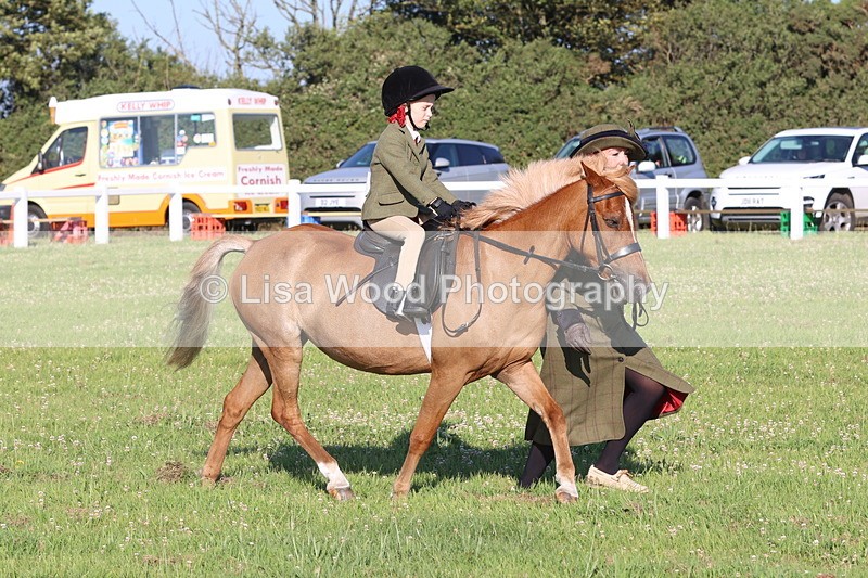 JPP_0760 - Class 16: Cornish Combination Leading Rein