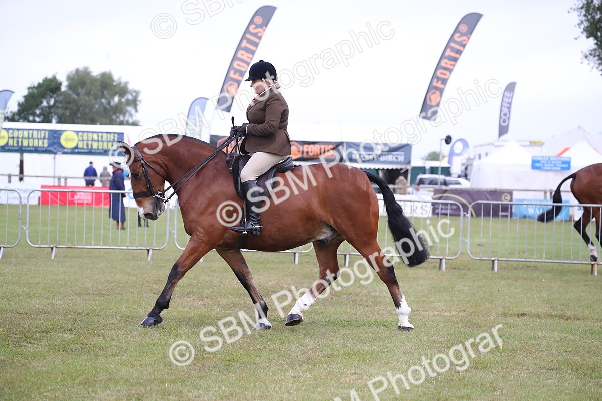 SBM_11080 - Class 92-93 - LIHS BSHA Rising Star Cobs