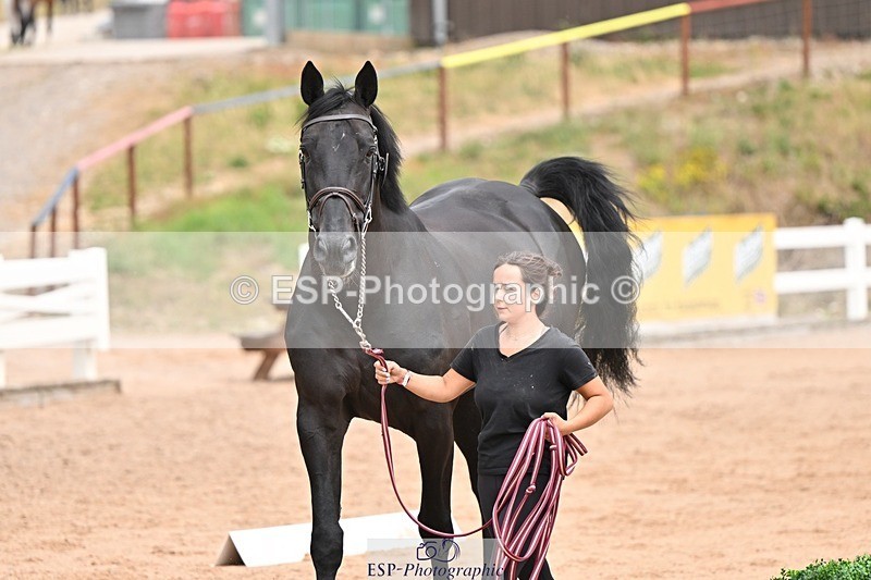 250716-150940-01705 - Trot Up 2.30 to 3.30