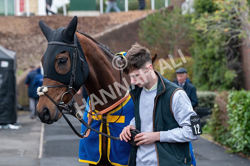 161125-Race 6-Saint Clovis-1811 - Race 6