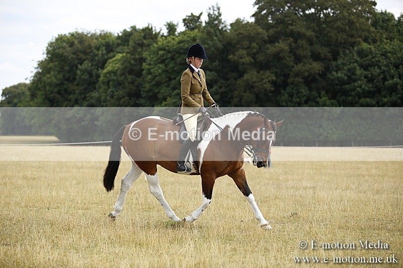 _C7A9500 - BVRC Show 2018 Ring 1