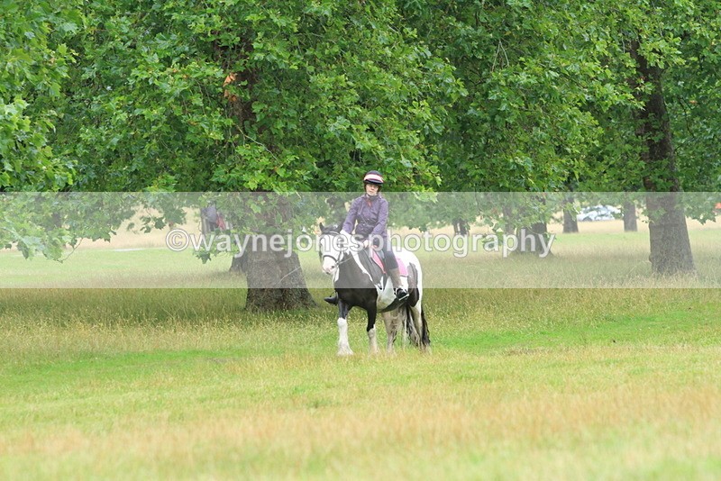 IMF_2949 - Time at Castle Jump 14:17 to 15:00