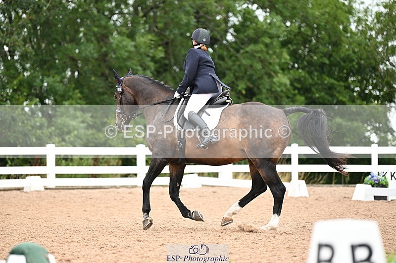 240815A-132918-01539 - 205-Donna.Boyd-Vagebond.vd.Withoeve.Z