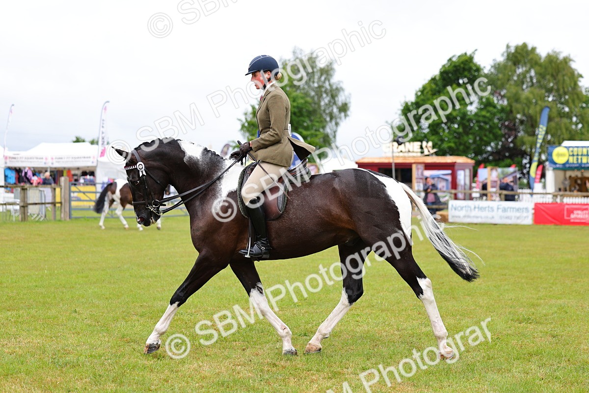 SBM_02629 - Class 9-11 Side Saddle including LIHS Rising Star Ladies Show Horse