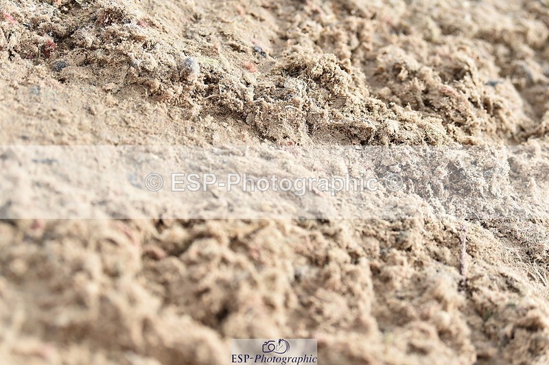 231013A-105240-01407 - Cls 1 85cm Amateur Quali