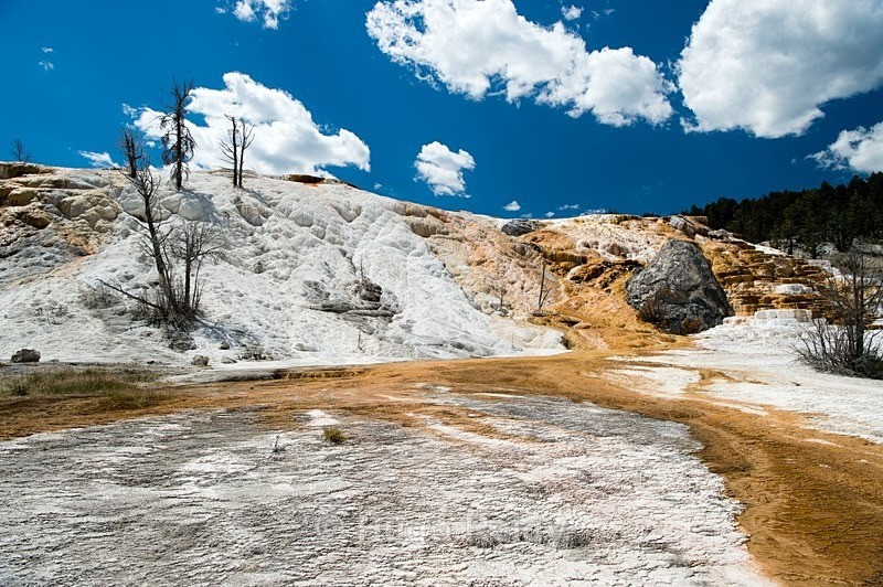  - Yellowstone