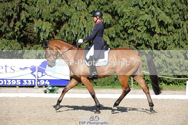 230526-175050-08045 - 182-HARTHILL_FLAMENCO-Izzy_Taylor-WEDTrotUp+DR