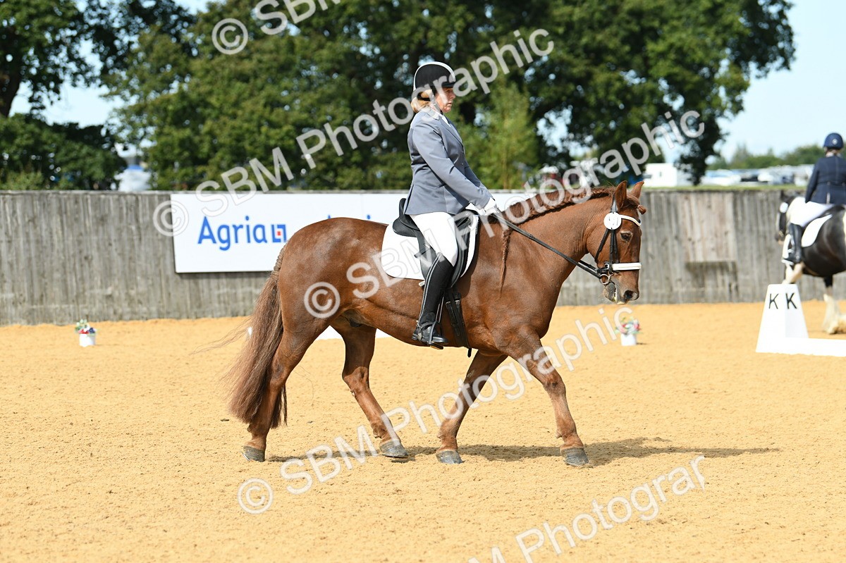 SBM_20901 - D13 - Grand Tour Championship - Prelim 12