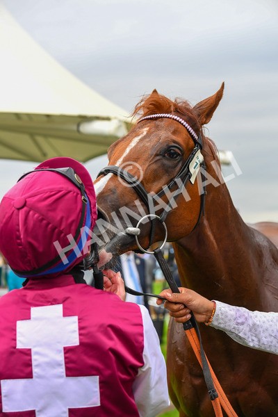 230823-Race 7-Zoulu Chief-1015 - Race 7 5.20pm Sky Bet Nursery Handicap