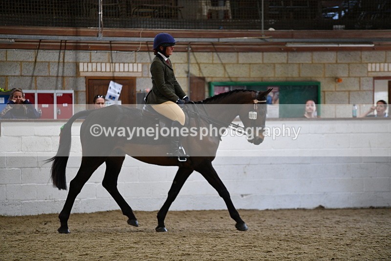 WJ5_7981 - Class 13 Ridden Part Breed