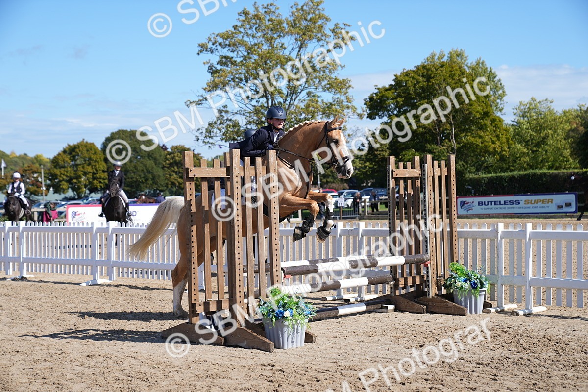 SBM_04861 - J56 - Clear Round 70cm