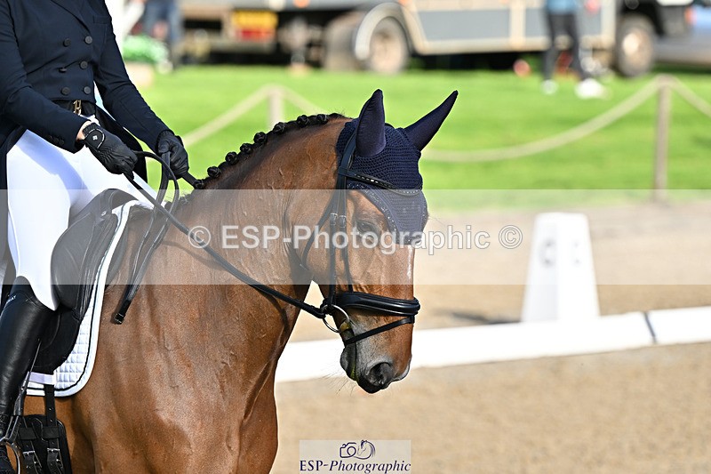 241023-143627-00342 - 102-Holly.Morris-ROYALE.LOUIS