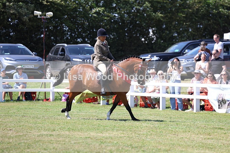 3E7A7631 - Rising Star Ridden Championship