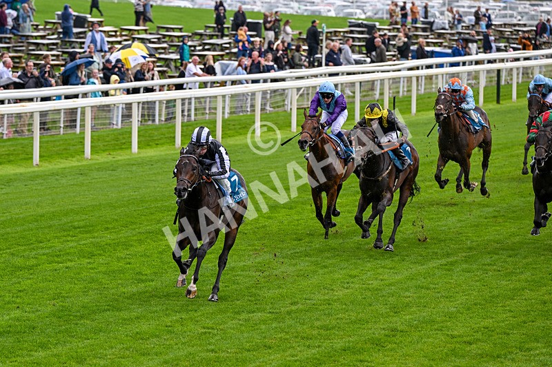 060926-Race 1-Mezzo Forte-0035 - Race 1 1.30pm Irish Thoroughbred Marketing 'Confined' EBF Maiden Stakes