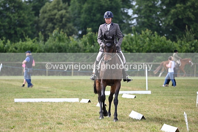 WJ6_5971 - Time 09:46 to 10:26