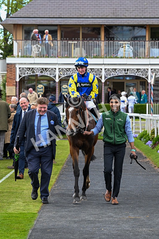 130526-Race 6-Startled-3523 - Race 6 4.40pm Conundrum HR Consulting Handicap