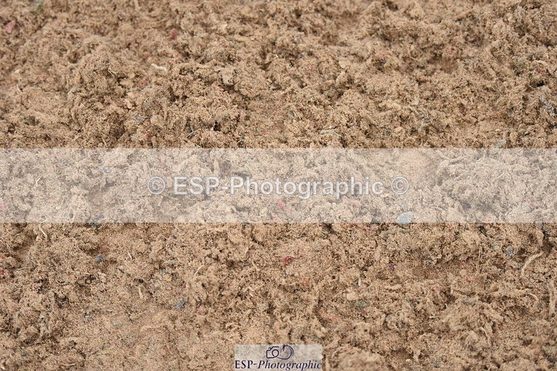 230916A-102538-03799 - Cls 14 Snr Foxhunter