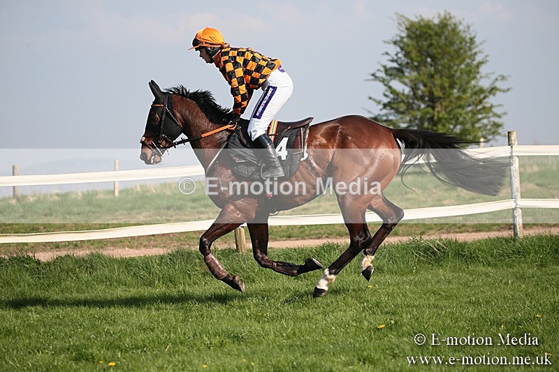 PtP 210418 479 - South & West Wilts Point-to-Point Larkhill 21/04/18