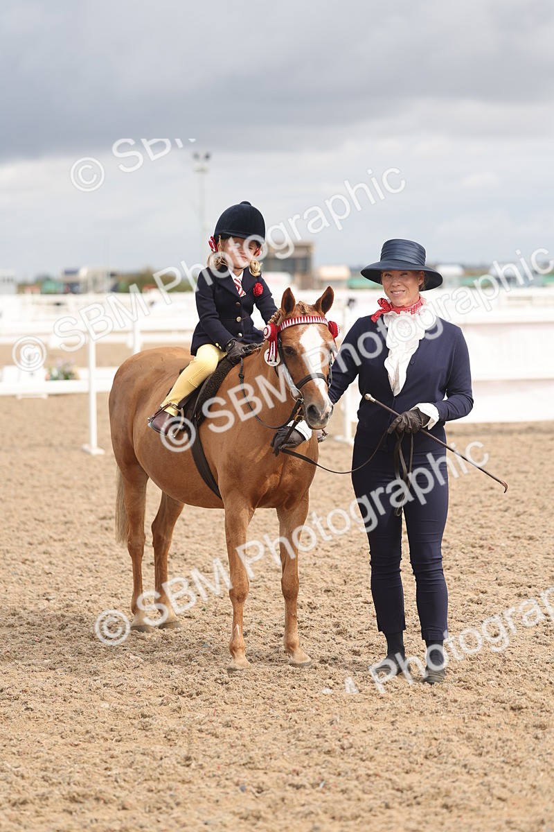 SBM_04549 - Class 19 - Horse/Pony Judge would most like to take home