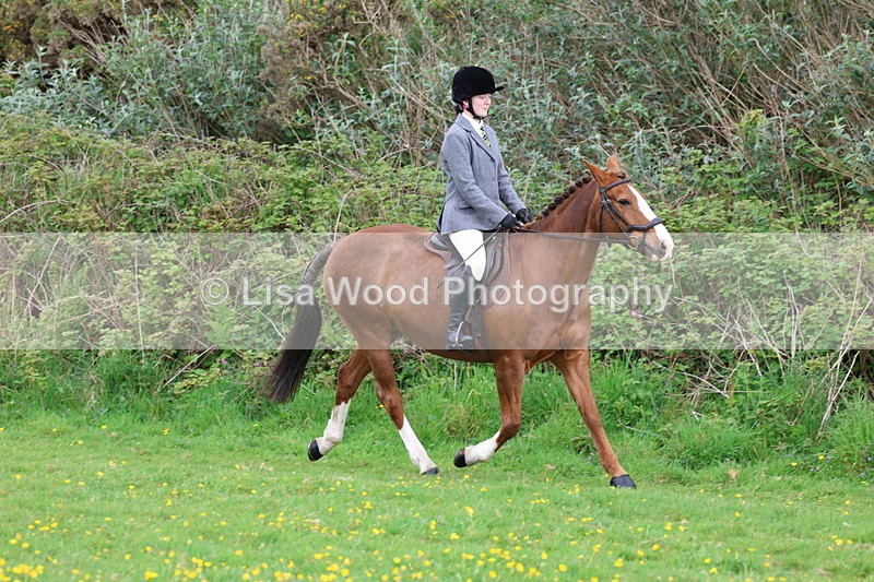 3E7A1409 - Class 8: Ridden Veteran Junoir and Senior