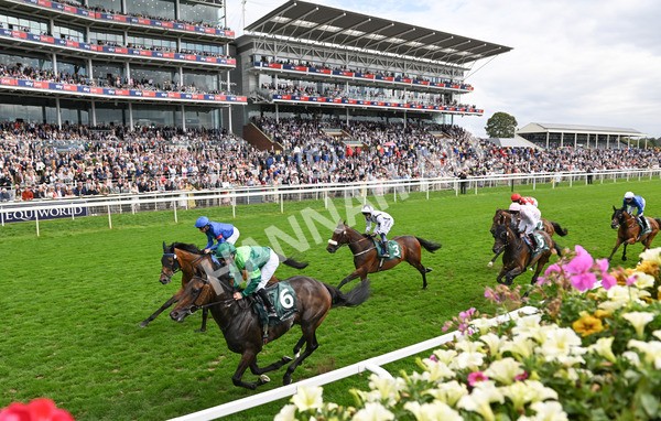 220825-075 Trawlerman - Race 2 2.25pm Weatherbys Lonsdale Cup Stakes