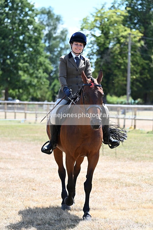 WJ7_2836 - Class 7 Riding Club Show Horse