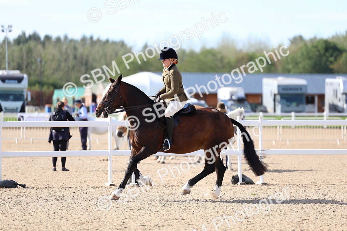SBM_17587