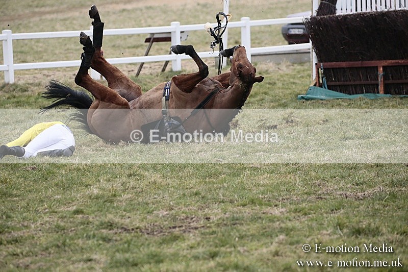 PtP 180218 287 - Combined Services Point-to-Point Larkhill 18/02/18