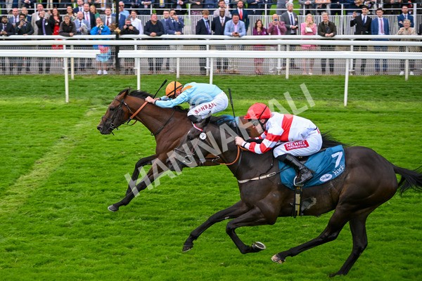 120724-Race 6-The Coffee Pod-6402 - Race 6 4.55pm Irish Thoroughbred Marketing Handicap