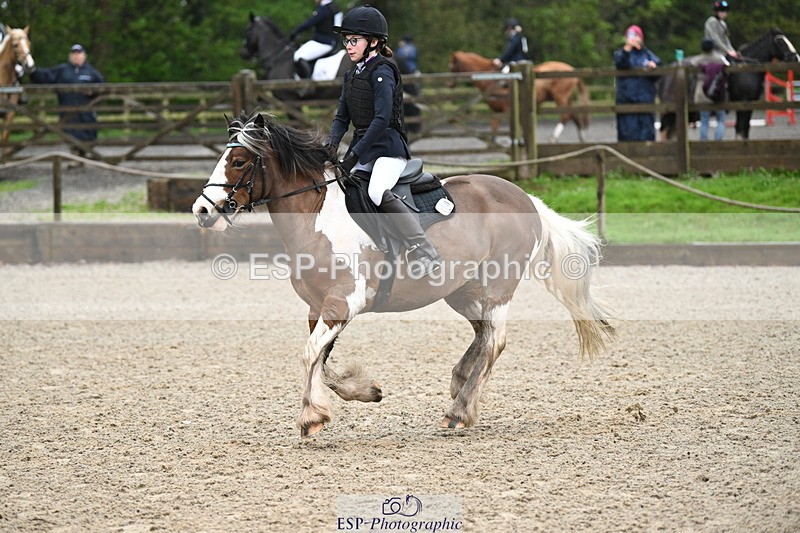 250418A-081516-00061 - NSEA GR 40cm and 50cm