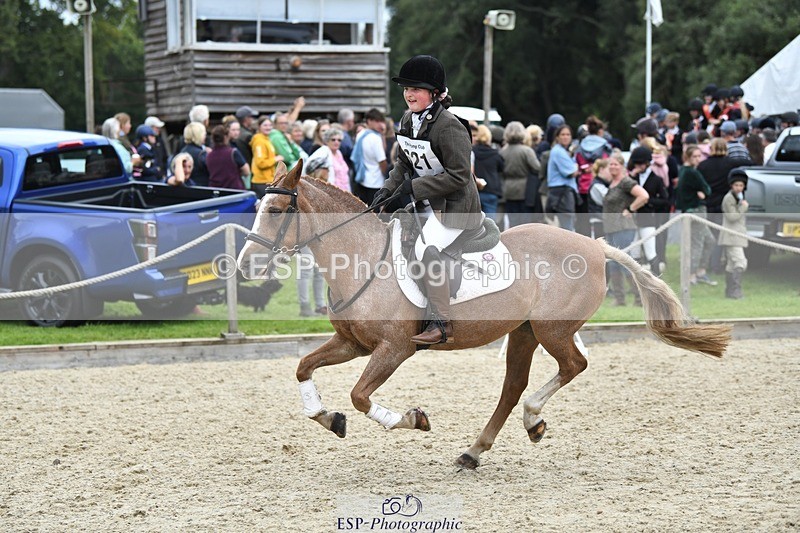 230827-144951-26531 - SJ 13.30 to End