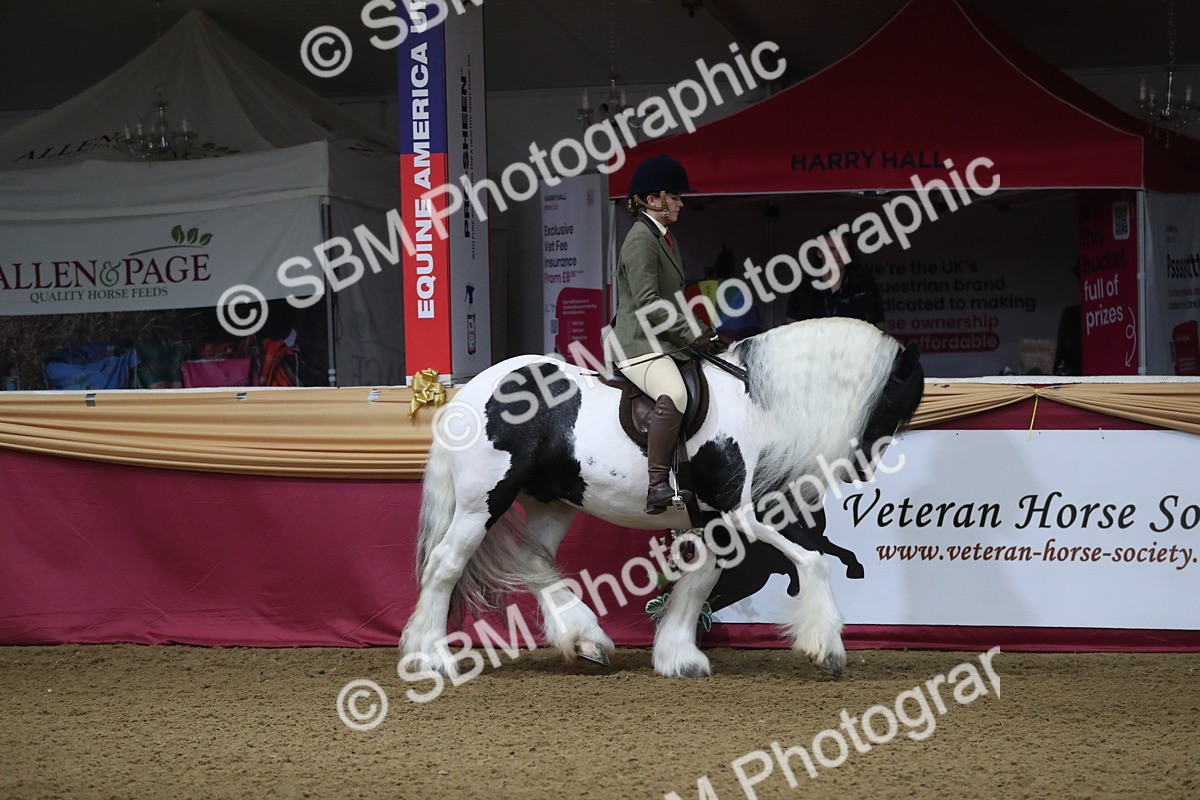 SBM_10347 - Class 102 Equitation (best rider) Adult