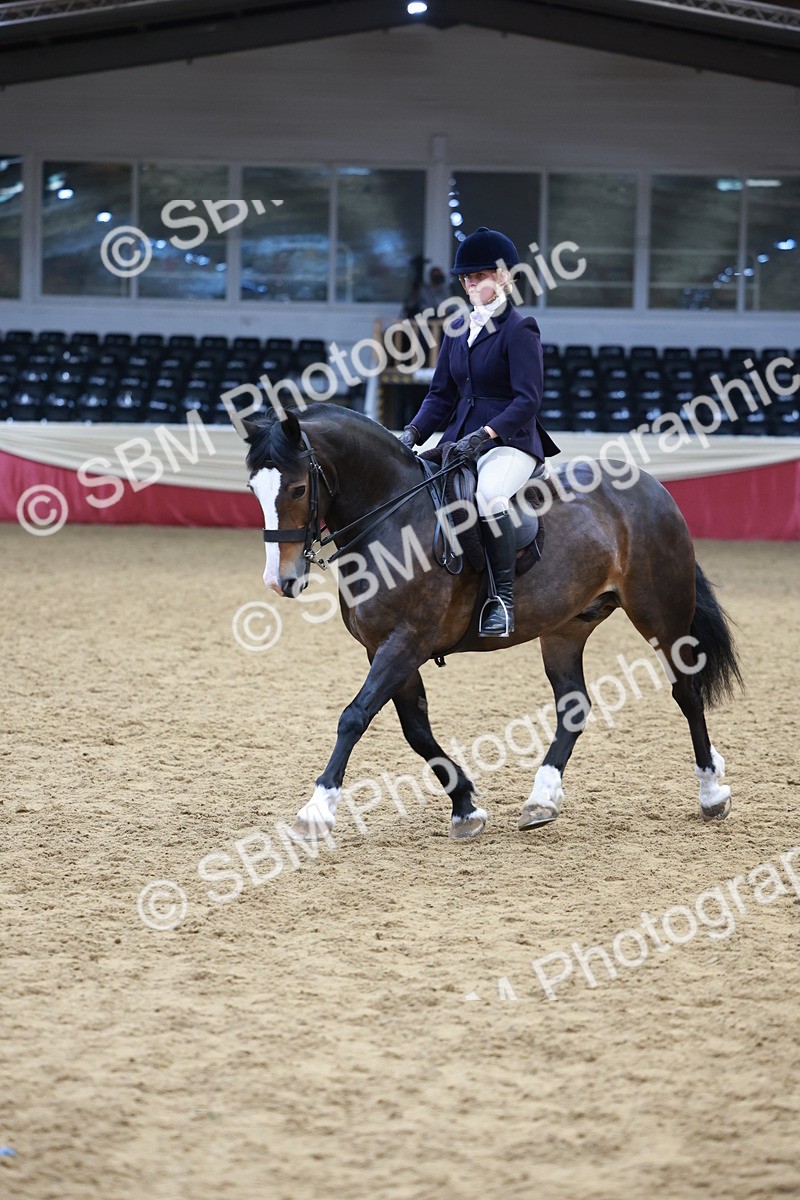 SBM_18611 - Class 952 - M&M Ridden Supreme Final