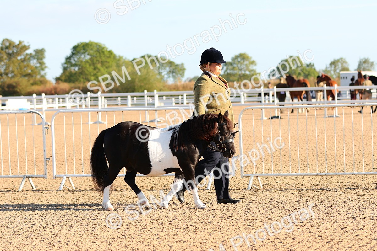 SBM_07969 - Class 201 - Best Turned Out - IH