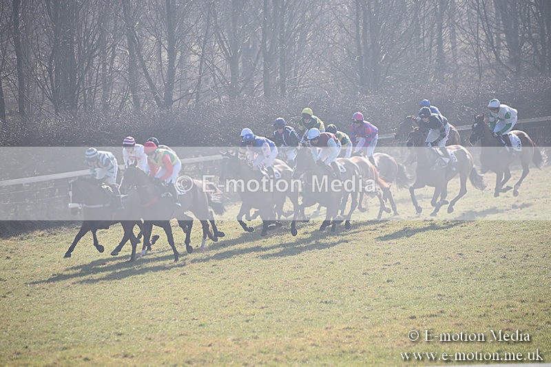 PtP 230219 40 - Vine & Craven Point-To-Point - Barbury 23/02/19