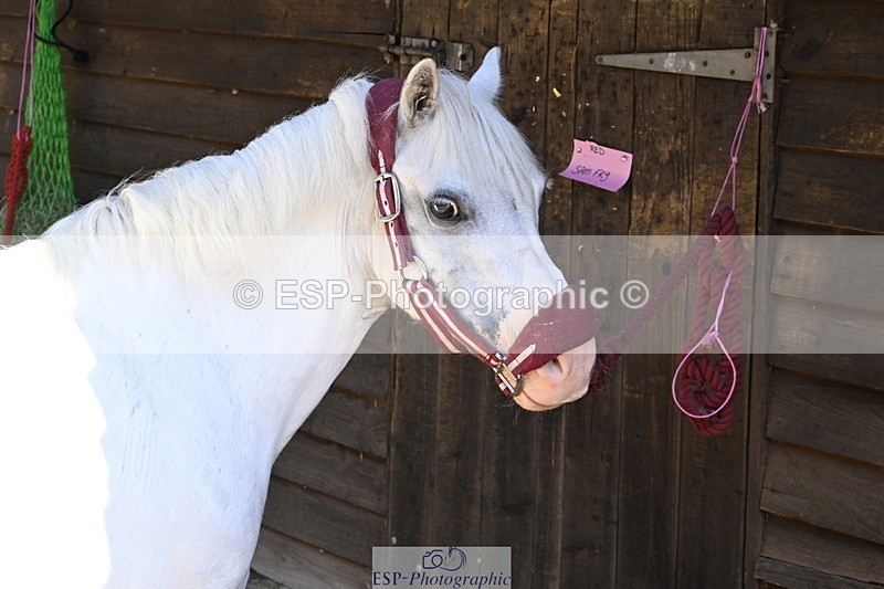 240728B-092539-00013 - Sunday Stable Shots and Fancy Dress