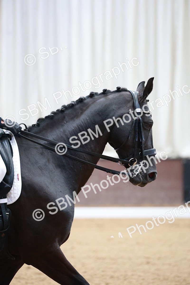 SBM_008564 - Class 14 - FEI PSG - 9.30-10.30