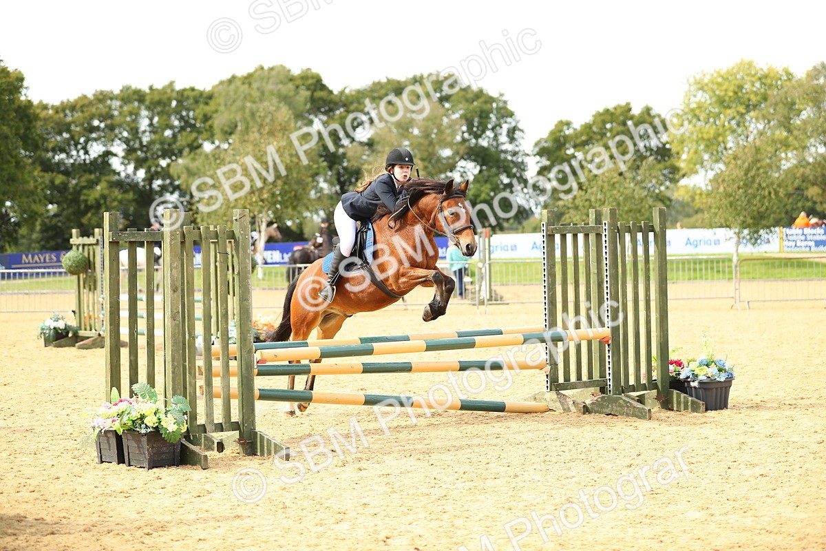 SBM_67192 - J17 - Junior Pony 80cm Championship