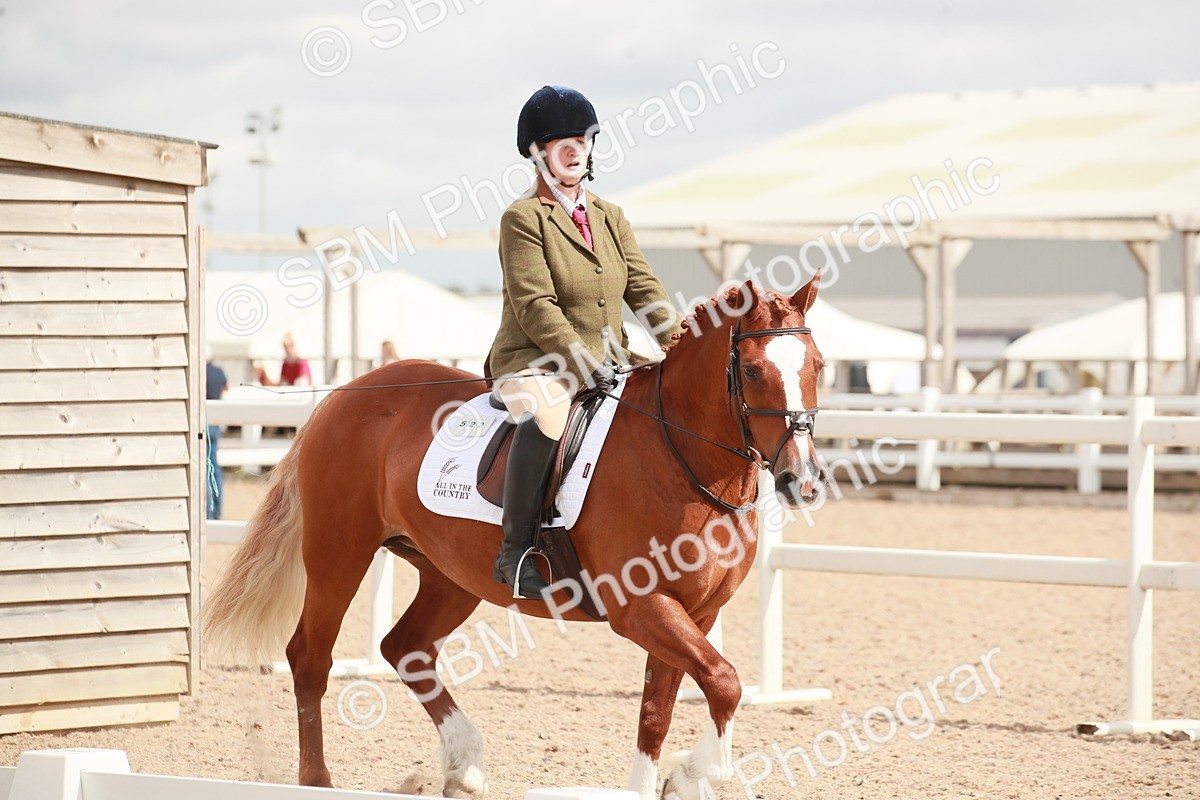 SBM_05848 - Class 32 - Novice 1