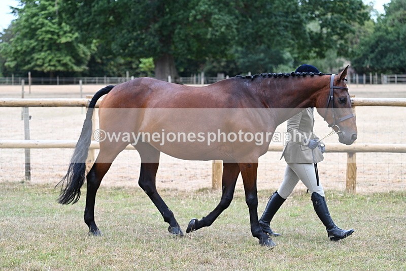 WJ7_8970 - Class 4a Prettiest Mare 14.2hh and over