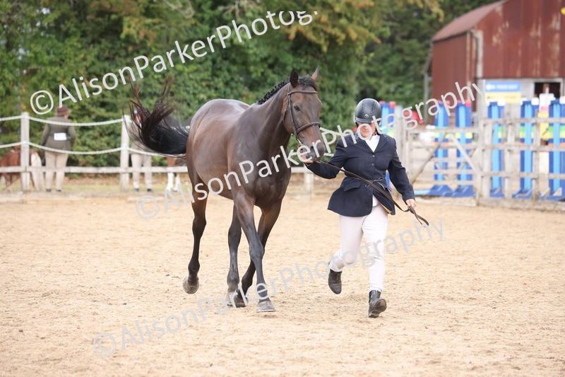 20260831-1940 - Class 5 - Retraining of Racehorses